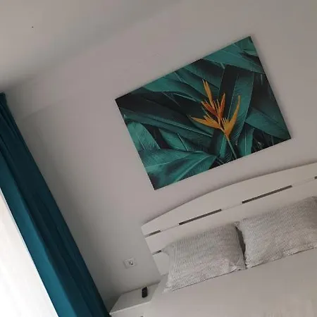 Giulia'S Studio דירה *